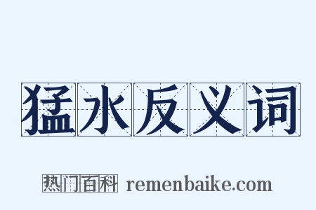 猛水反义词是什么意思的图片